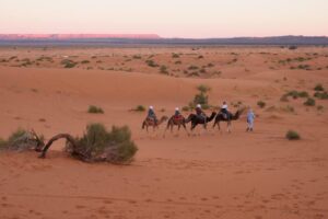 Reyes Magos en el desierto de Marruecos