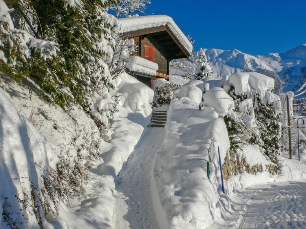 Chalet Verbier 9609705-acceso-2