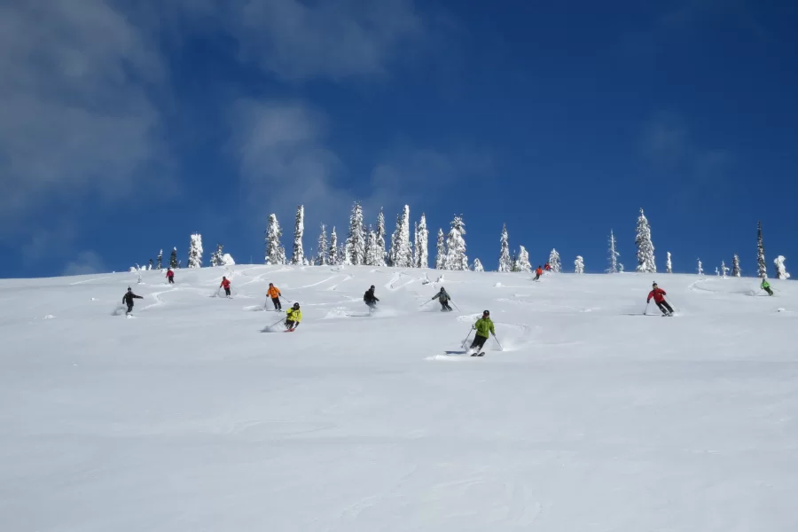 Intermediate powder skiing at Big Red Cats