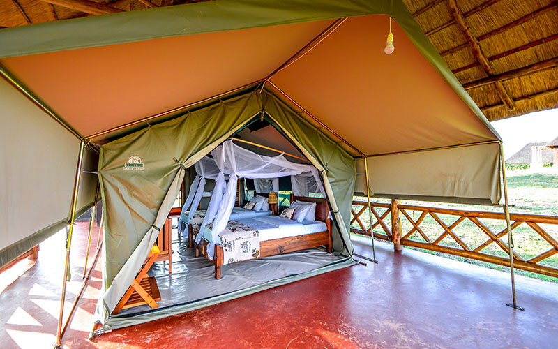 Twiga Safari Lodge - accomodation