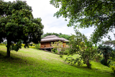Twin Lakes Safari Lodge - exterior cottage