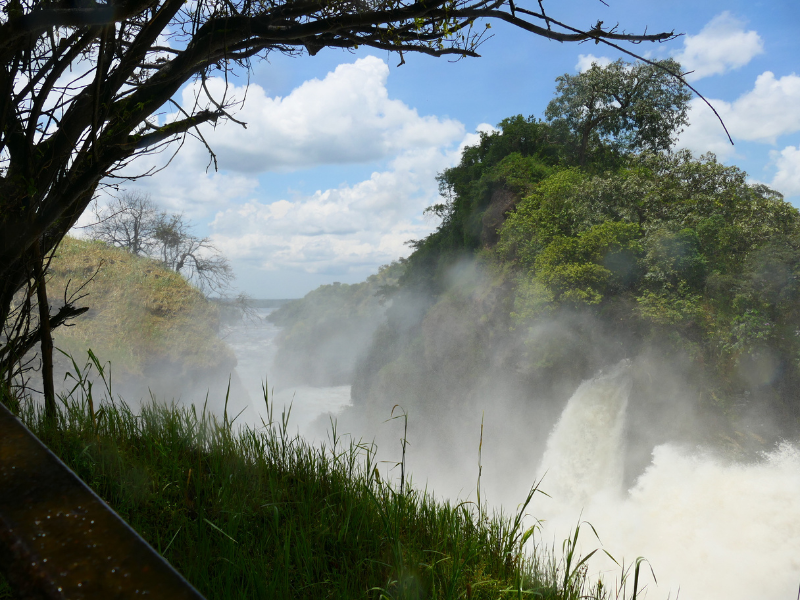 Uganda Mogambo-Cataratas Murchison